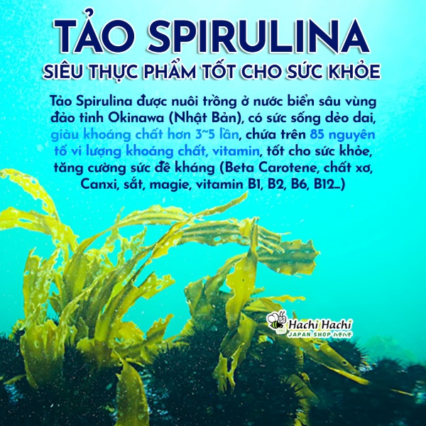 Tao-vien-spirulina-vung-bien-nuoc-sau-japan-algae-tang-cuong-bo-sung-dinh-duong.jpg